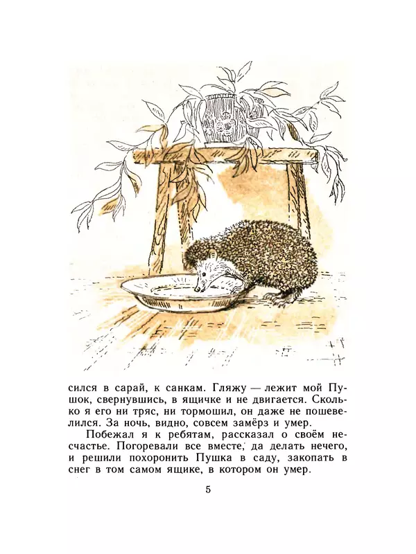 Книгаго: Лесной голосок. Рассказы. Иллюстрация № 7