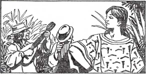 Книгаго: Че Гевара. Иллюстрация № 2
