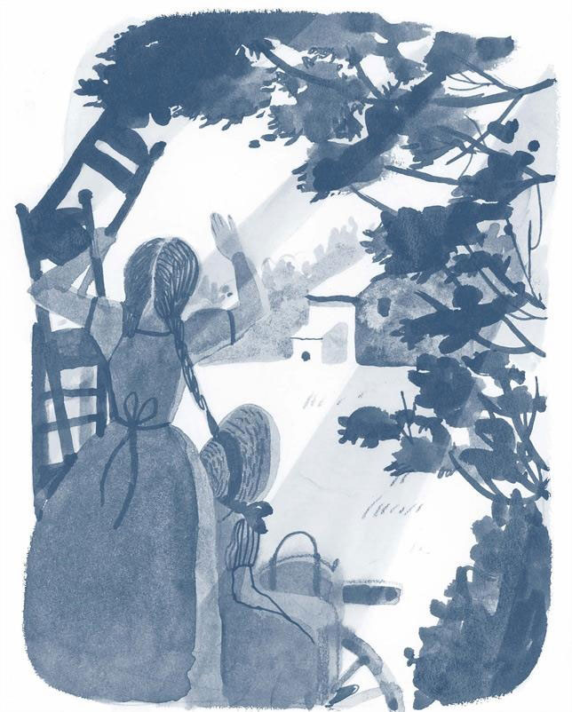 Книгаго: История Мэй. Маленькой Женщины. Иллюстрация № 3
