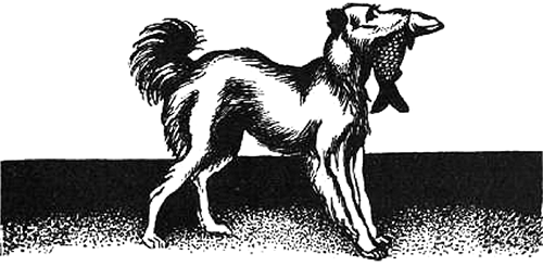 Книгаго: Воспоминания собаки Мускуби (Рассказ). Иллюстрация № 2