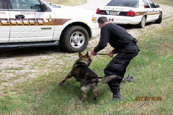 Книгаго: Как тренировать полицейских собак-ищеек и розыскных патрульных собак. Метод Кохера. Иллюстрация № 9