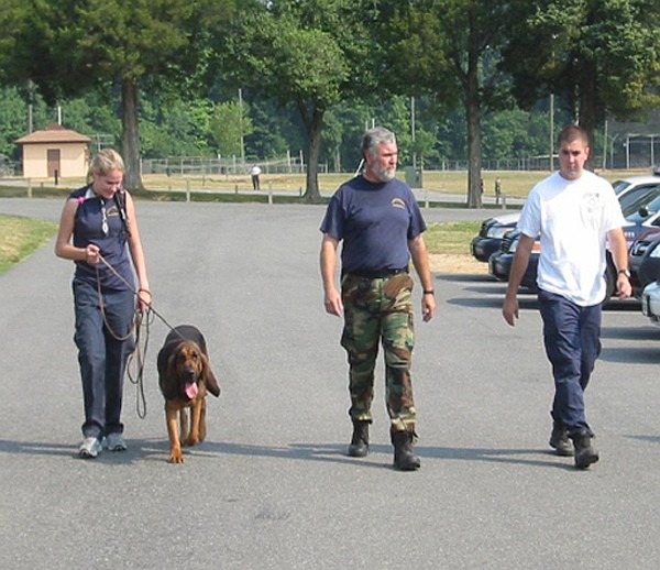 Книгаго: Как тренировать полицейских собак-ищеек и розыскных патрульных собак. Метод Кохера. Иллюстрация № 13