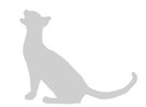 Книгаго: От саванны до дивана: Эволюционная история кошек. Иллюстрация № 1