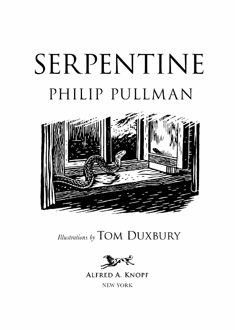 Книгаго: Серпантин. Иллюстрация № 1