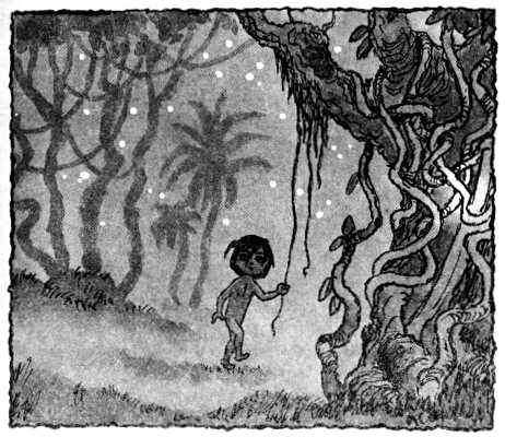 Книгаго: Маугли. Иллюстрация № 1