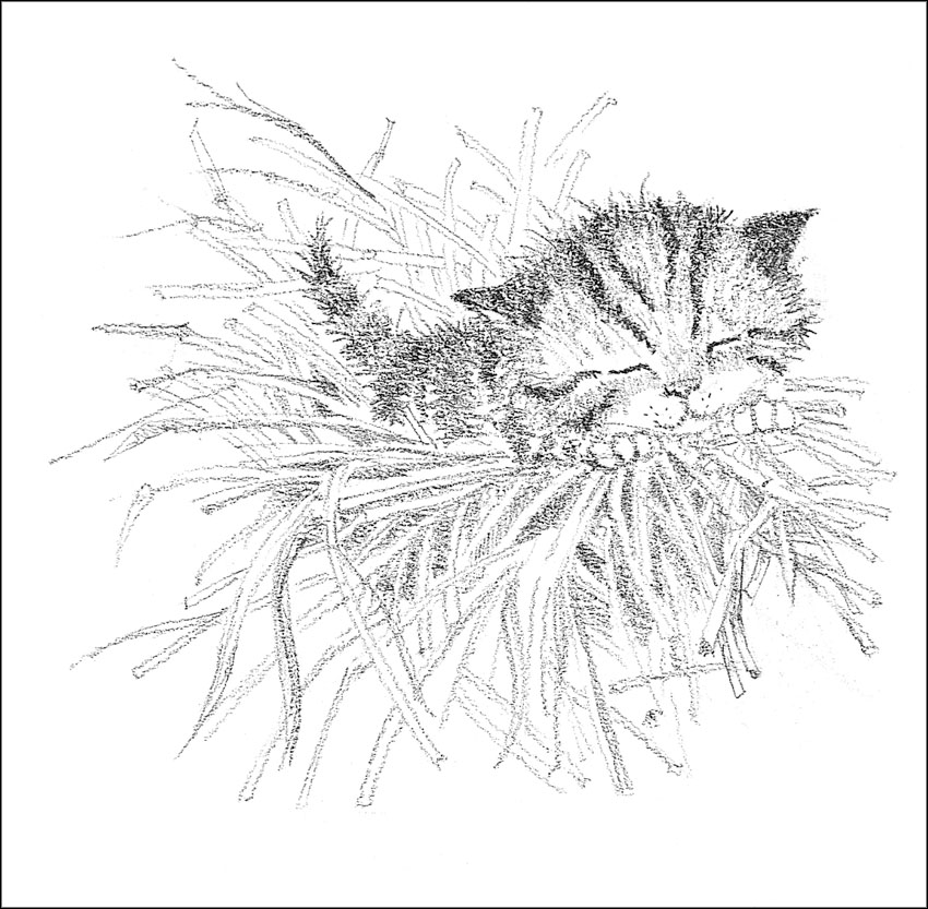 Книгаго: Котёнок Пушинка, или Рождественское чудо. Иллюстрация № 2