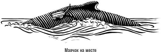 Книгаго: Наблюдая за китами. Прошлое, настоящее и будущее загадочных гигантов. Иллюстрация № 4