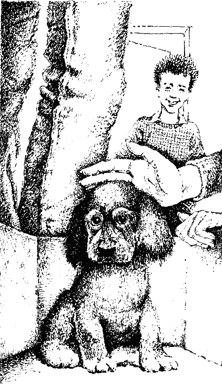 Книгаго: Я, говорит пёс. Иллюстрация № 1