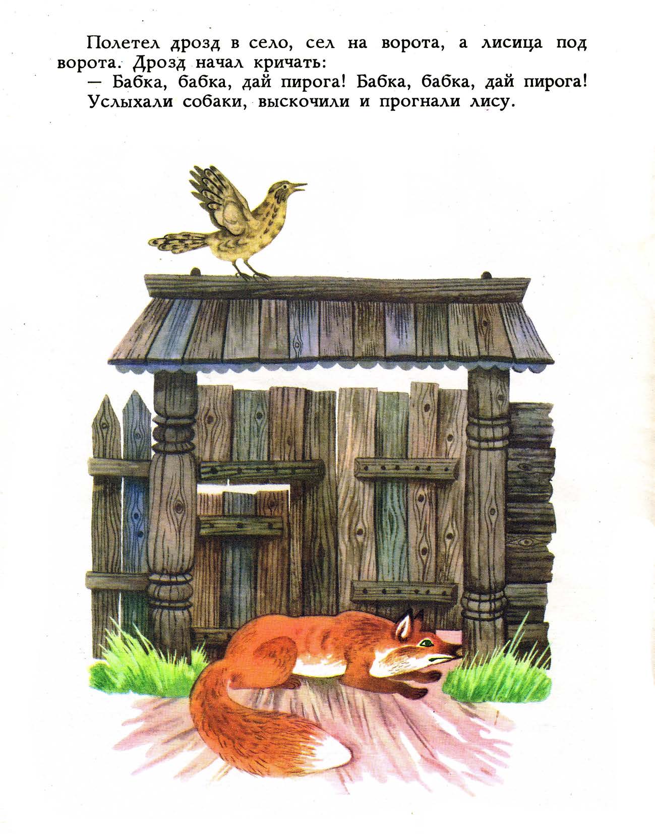 Книгаго: Лиса и дрозд. Иллюстрация № 14