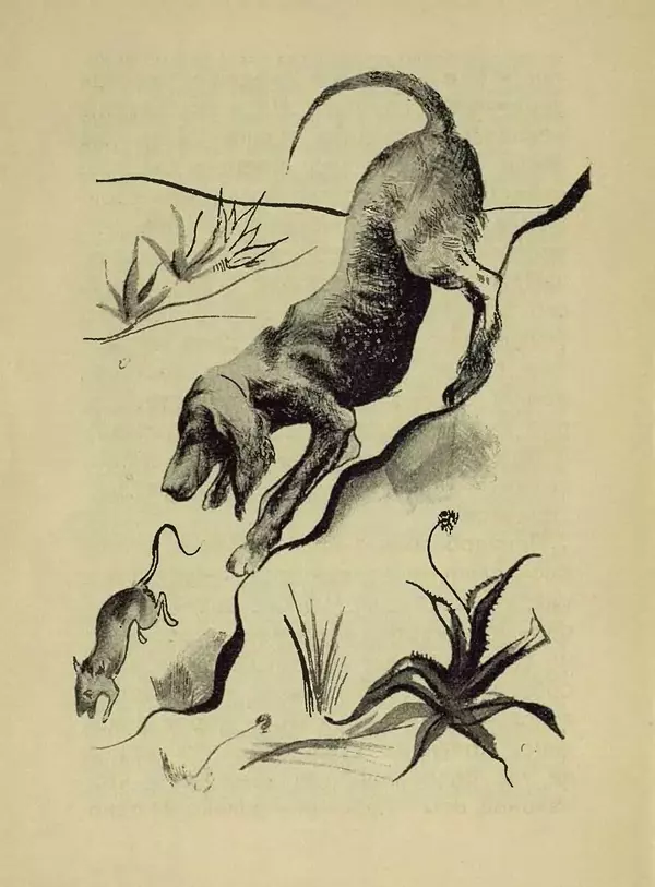 Книгаго: Чинк (История молодой собаки). Иллюстрация № 8