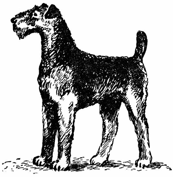 Книгаго: Воспитание щенка (Советы начинающему собаководу). Иллюстрация № 4