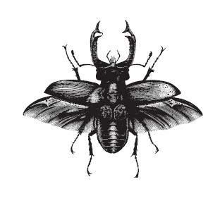 Книгаго: Планета насекомых. Иллюстрация № 1
