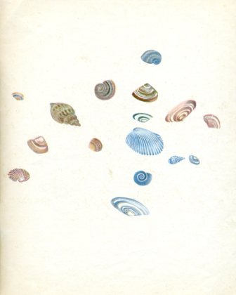 Книгаго: У южного моря. Иллюстрация № 23