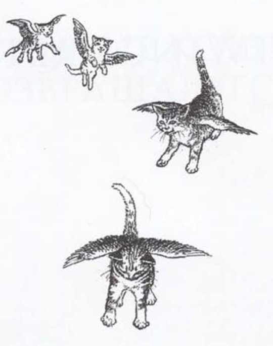 Книгаго: Крылатые кошки возвращаются. Иллюстрация № 1