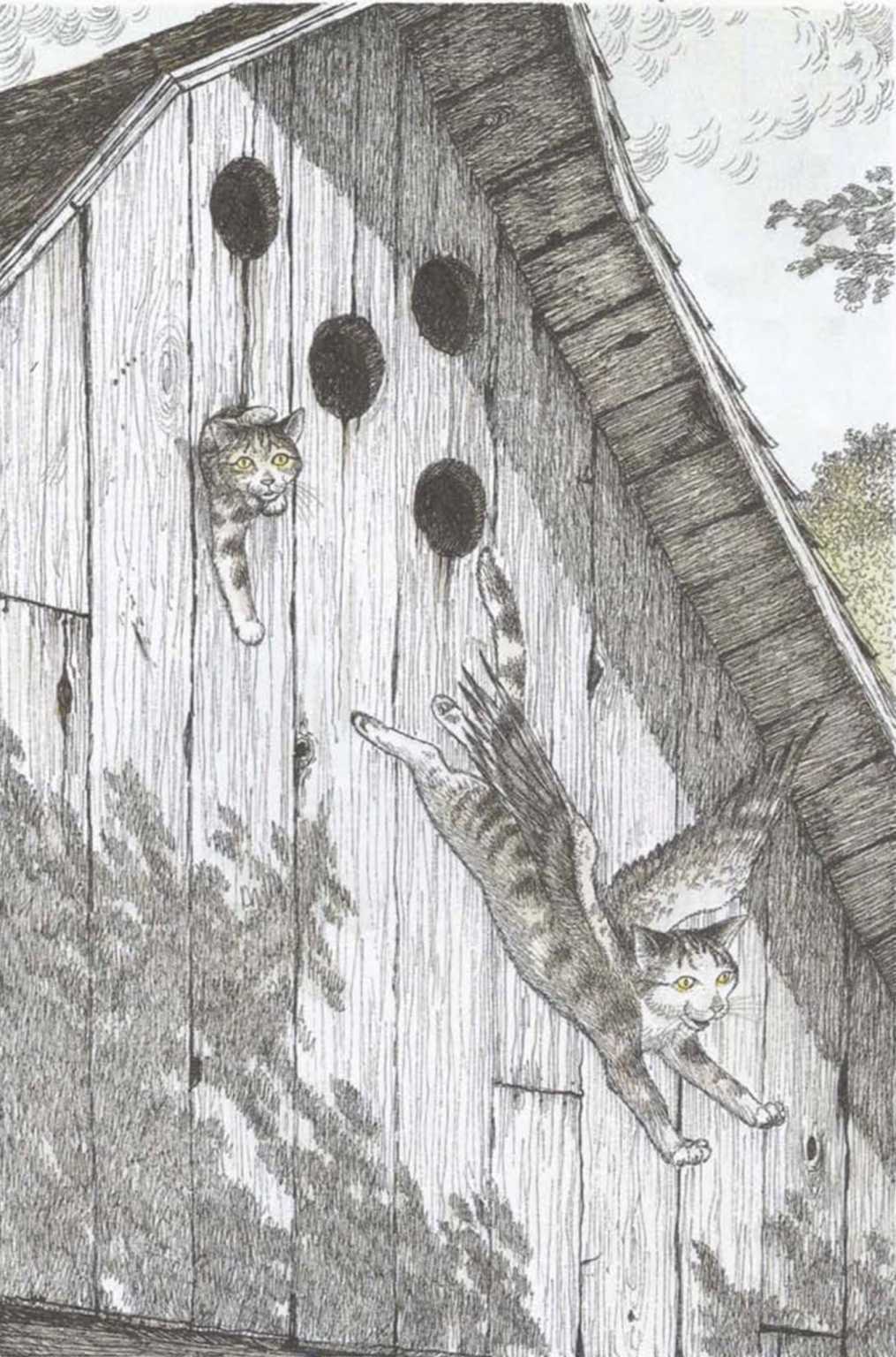 Книгаго: Крылатые кошки возвращаются. Иллюстрация № 3