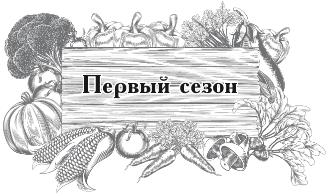Книгаго: Огород по-русски. Мало сажаем, много собираем. Иллюстрация № 1