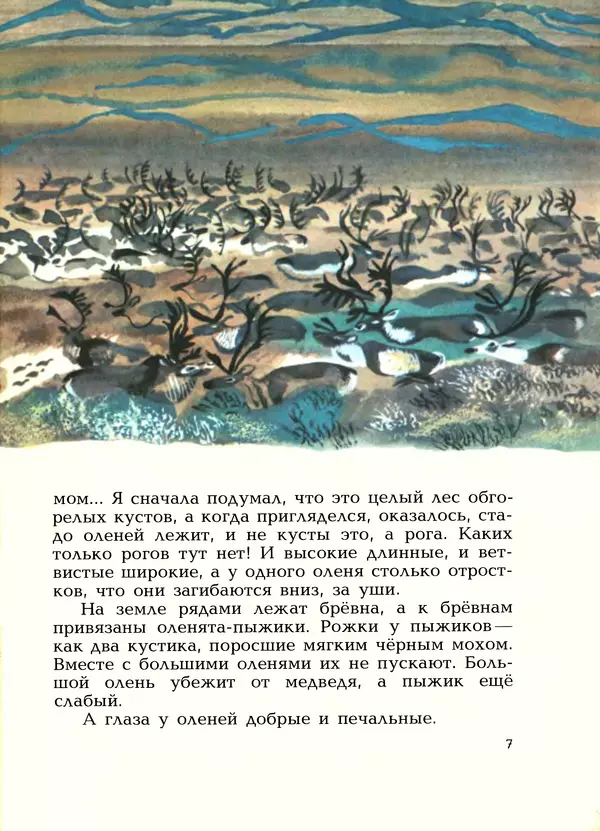 Книгаго: Про оленей. Иллюстрация № 9