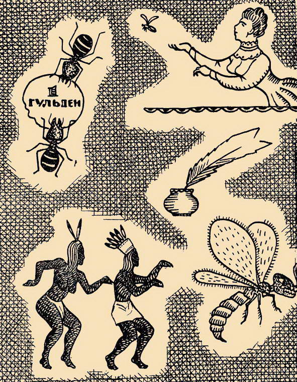 Книгаго: Тайны мира насекомых. Иллюстрация № 1