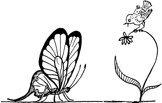 Книгаго: Тайны мира насекомых. Иллюстрация № 4