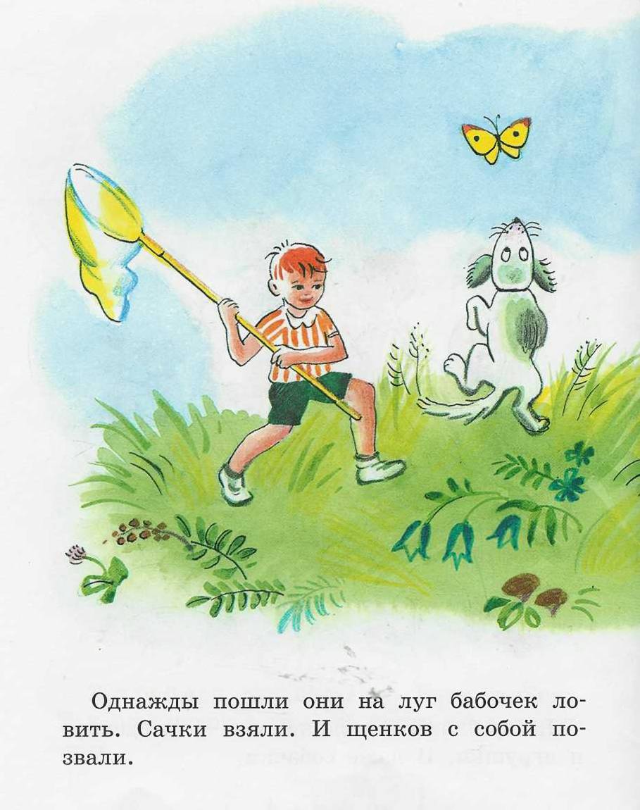 Книгаго: Бабочка. Иллюстрация № 3