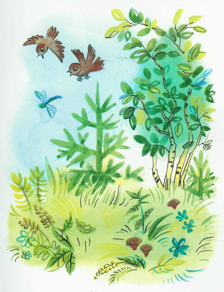 Книгаго: Бабочка. Иллюстрация № 8