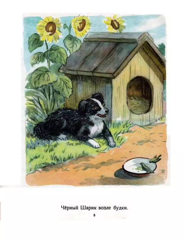 Книгаго: Мой Мишка. Иллюстрация № 8