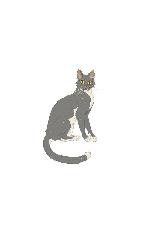 Книгаго: Секреты кошек. Как понять кошку и стать ей другом. Иллюстрация № 2