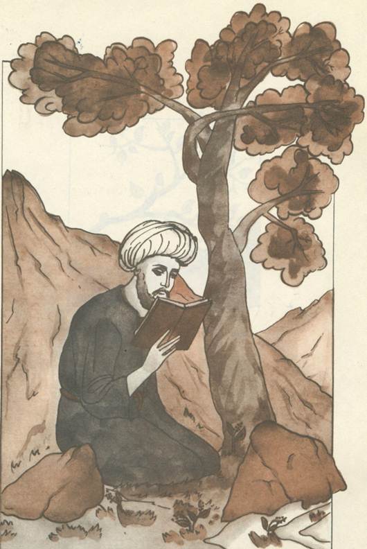 Книгаго: Афганские сказки. Иллюстрация № 1