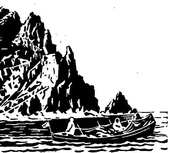 Книгаго: В Чукотском море. Иллюстрация № 2