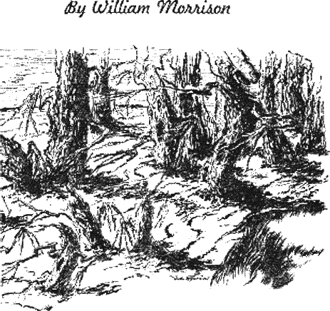Книгаго: Миры Уильяма Моррисона. Том 1. Иллюстрация № 3