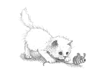 Книгаго: Котёнок Стенли, или Настоящий клад. Иллюстрация № 1