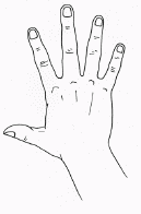 Книгаго: Умные пальчики. Игры для развития речи. Иллюстрация № 3
