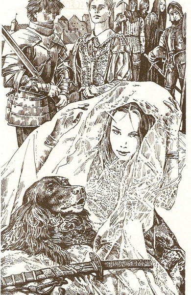 Книгаго: Принцесса и ее рыцарь. Иллюстрация № 1