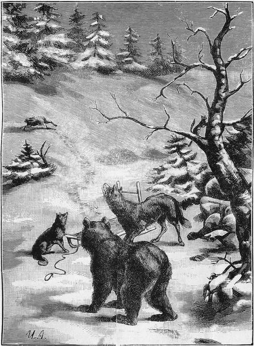 Книгаго: В дебрях Севера (Приключения волка, медведя и лисицы). Иллюстрация № 4
