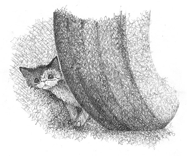 Книгаго: Котёнок Клео, или Путешествие непоседы. Иллюстрация № 1