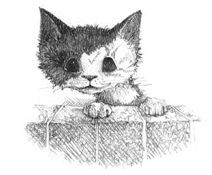 Книгаго: Котёнок Клео, или Путешествие непоседы. Иллюстрация № 2