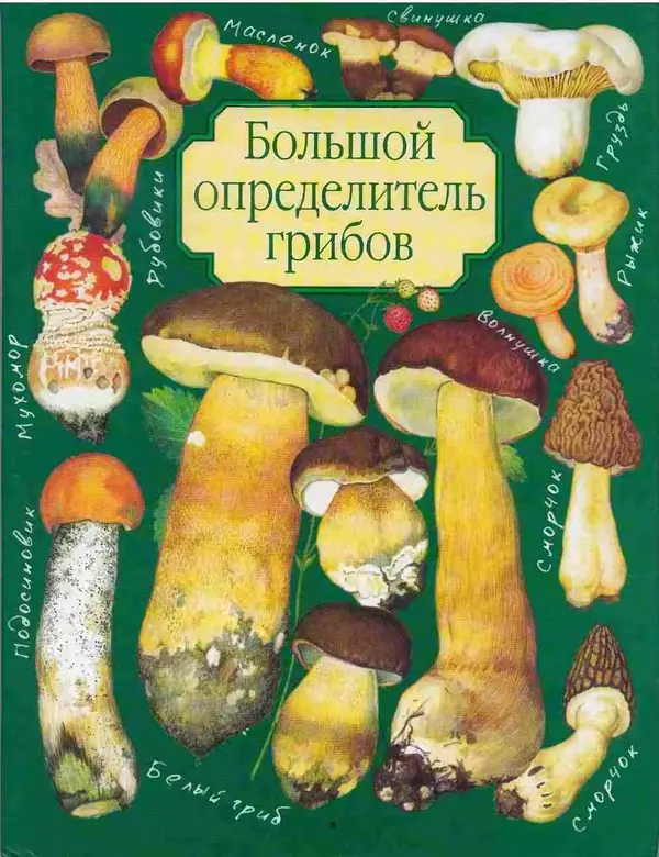Книгаго: Большой определитель грибов. Иллюстрация № 1