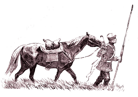 Книгаго: Донские казаки в начале ХIХ столетия. Иллюстрация № 1