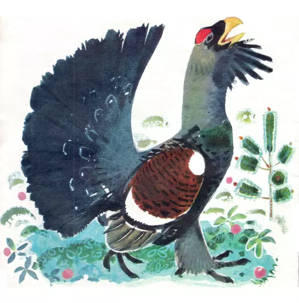 Книгаго: Птицы наших лесов. Иллюстрация № 8