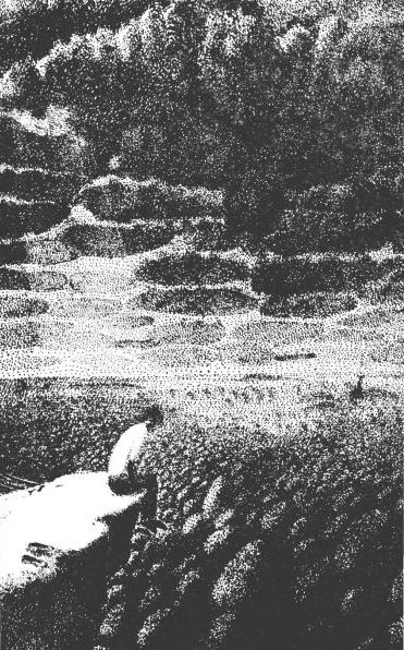 Книгаго: Улитка на склоне (журнал «Байкал»). Иллюстрация № 1