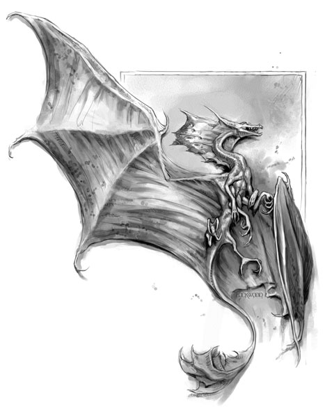 Книгаго: Естественная история драконов. Иллюстрация № 3