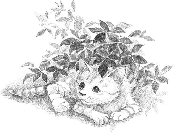 Книгаго: Котёнок Сильвер, или Полосатый храбрец. Иллюстрация № 1
