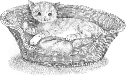 Книгаго: Котёнок Сильвер, или Полосатый храбрец. Иллюстрация № 2