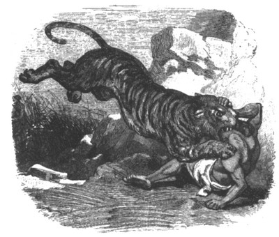 Книгаго: Приключения парижанина в стране львов, в стране тигров и в стране бизонов. Иллюстрация № 1
