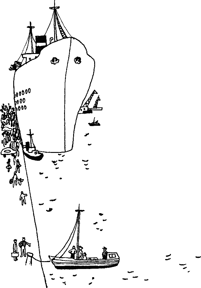 Книгаго: Путешествие на «Тригле». Иллюстрация № 6
