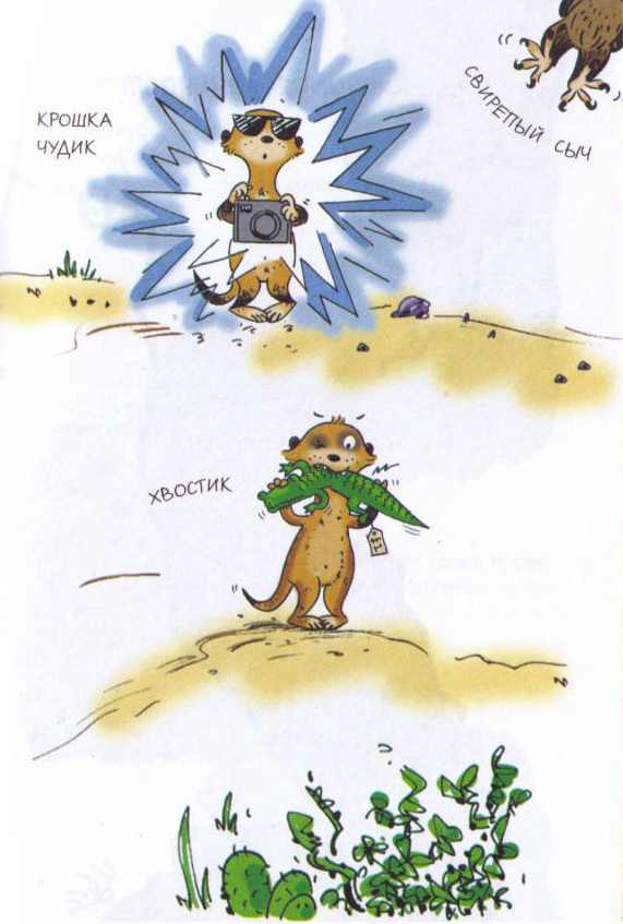 Книгаго: Сурикаты-сумасброды. Невероятно смешные приключения в пустыне . Иллюстрация № 5