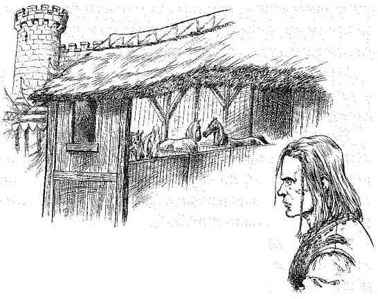 Книгаго: Вольный рыцарь. Иллюстрация № 6
