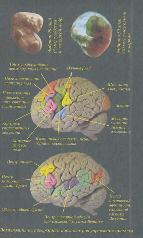 Книгаго: Морфология сознания. Иллюстрация № 3