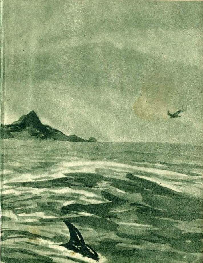 Книгаго: Остров Таусена. Иллюстрация № 2