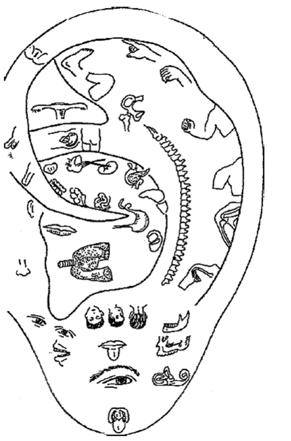 Книгаго: Чуткое ухо. Что может рассказать о вашем здоровье ушная раковина. Иллюстрация № 3